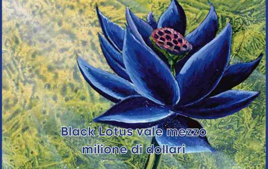 Black Lotus Illustrazione