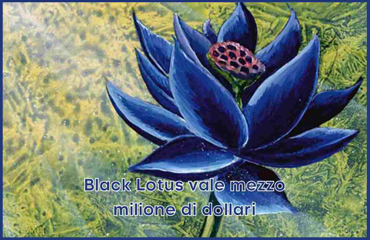 Black Lotus Illustrazione