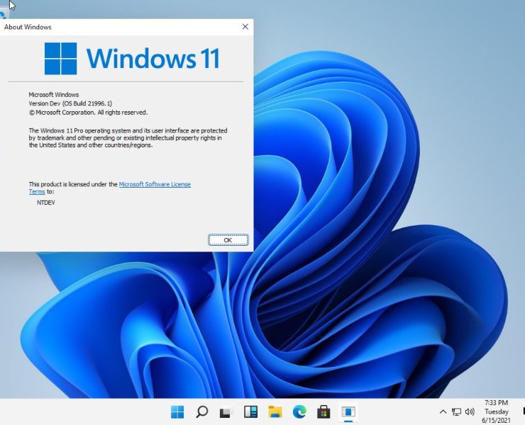 Windows 11 - www.newsvideogame.it