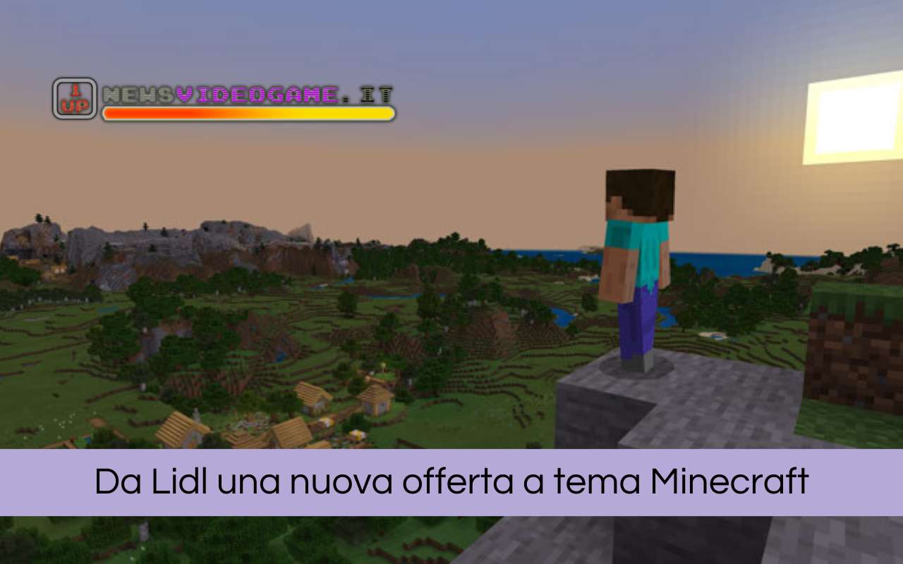 Minecraft Lidl